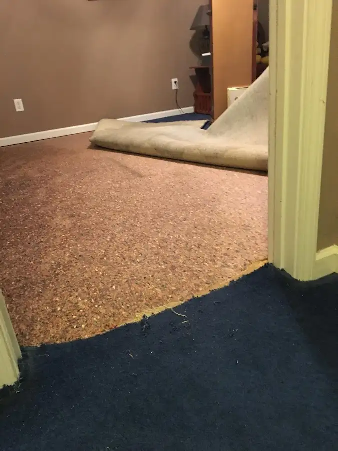 Carpet pad removal revealing water damage during Water Mitigation Services in Ken Caryl